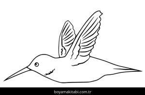 Sinek Kuşu boyama sayfası – sanatsal çalışma, çocuklar için