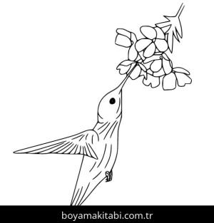 Sinek Kuşu boyama sayfası – çocuklar için, çizgi film temalı