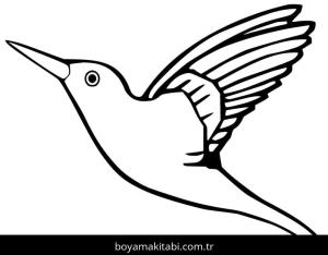 Sinek Kuşu boyama sayfası – eğitici aktivite, yaratıcılık