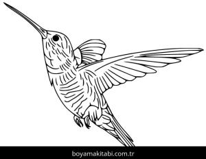 Sinek Kuşu boyama sayfası – boyama etkinliği, çocuk aktivitesi
