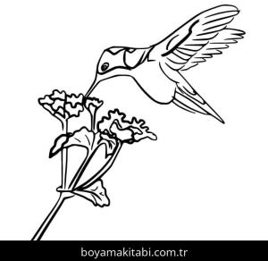 Sinek Kuşu boyama sayfası – çizgi film temalı, basit çizim