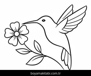 Sinek Kuşu boyama sayfası – keyifli zaman, renkli çizimler