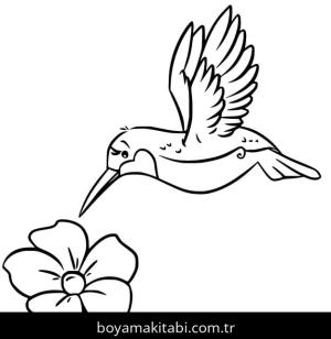 Sinek Kuşu boyama sayfası – ücretsiz yazdır, boyama etkinliği