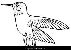 Sinek Kuşu boyama sayfası – el becerilerini geliştirir, boyama çalışması