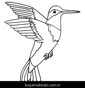 Sinek Kuşu boyama sayfası – boyama etkinliği, çocuk aktivitesi