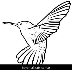 Sinek Kuşu boyama sayfası – basit çizim, kolay boyama