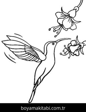 Sinek Kuşu boyama sayfası – çizgi film temalı, basit çizim