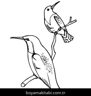 Sinek Kuşu boyama sayfası – yaratıcılık, eğlenceli etkinlik