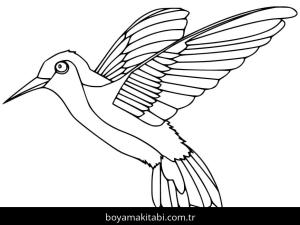 Sinek Kuşu boyama sayfası – çocuklar için, çizgi film temalı