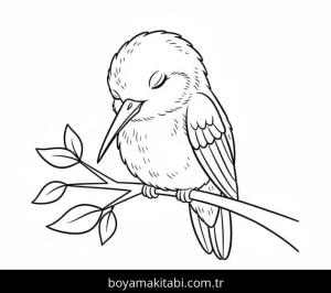 Sinek Kuşu boyama sayfası – eğlenceli etkinlik, el becerilerini geliştirir