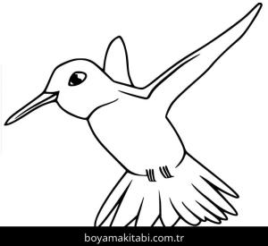 Sinek Kuşu boyama sayfası – renkli çizimler, okul öncesi