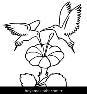Sinek Kuşu boyama sayfası – keyifli zaman, renkli çizimler