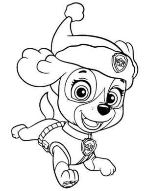 Skye Paw Patrol boyama sayfası,  coloring page, Skye Noel Baba şapkası takıyor, 