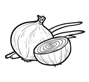 Soğan boyama sayfası,  coloring page, Bir Soğan ve Yarım Soğan, 