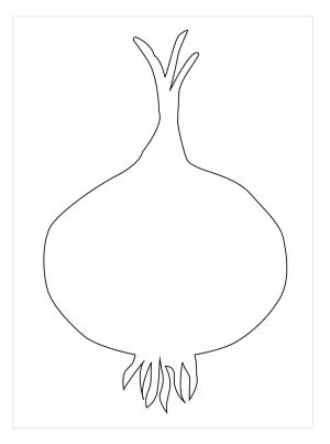 Soğan boyama sayfası,  coloring page, Soğan Anahat, 