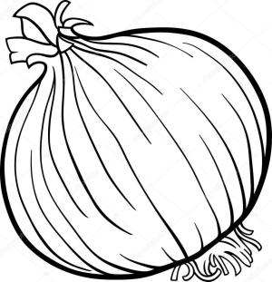 Soğan boyama sayfası,  coloring page, Normal Soğan, 