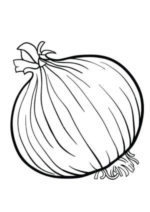 Soğan boyama sayfası,  coloring page, Temel Soğan, 