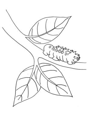 Solucan boyama sayfası,  coloring page, Dal Ağacındaki Temel Solucan, 