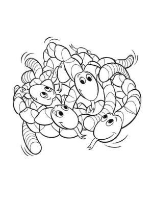 Solucan boyama sayfası,  coloring page, Solucanlar, 