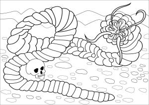 Solucan boyama sayfası,  coloring page, , 