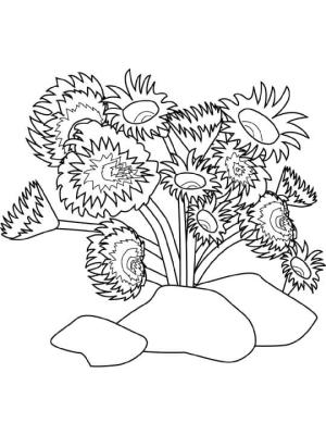 Solucan boyama sayfası,  coloring page, Tüp Solucanları, 