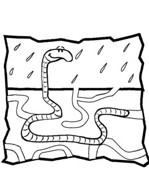 Solucan boyama sayfası,  coloring page, Yağmurda Solucan, 