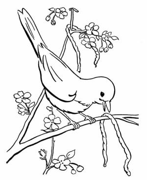 Solucan boyama sayfası,  coloring page, , 