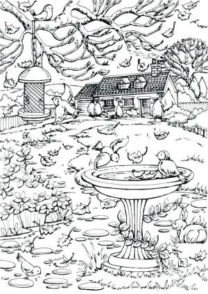 Sonbahar boyama sayfası,  coloring page, Kuşlar ağaçtan son üvez yiyor, 