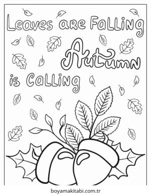 Sonbahar boyama sayfası – renkli çizimler, okul öncesi