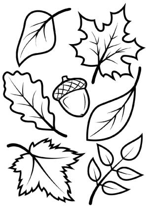 Sonbahar boyama sayfası,  coloring page, Yazdırılabilir Sonbahar Anahat, 