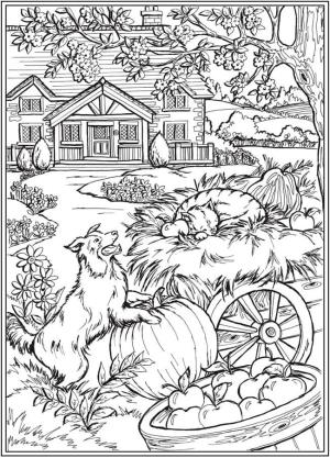 Sonbahar boyama sayfası,  coloring page, Köpek elma sepetini koruyor., 