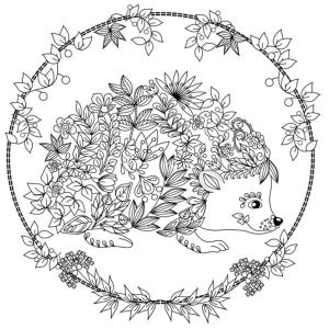 Sonbahar boyama sayfası,  coloring page, Sevimli sonbahar kirpisi., 