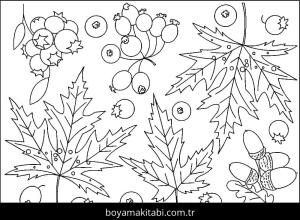 Sonbahar boyama sayfası – ücretsiz yazdır, boyama etkinliği