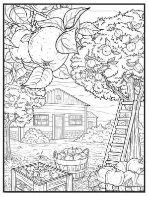 Sonbahar boyama sayfası,  coloring page, Elma ağaçlarından sonbahar hasadı., 