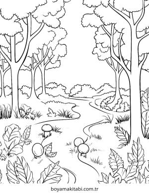 Sonbahar boyama sayfası – boyama çalışması, yaratıcılığı geliştirir