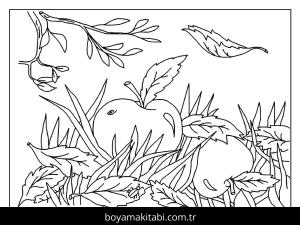 Sonbahar boyama sayfası – renkli çizimler, okul öncesi