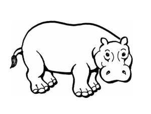 Su Aygırı boyama sayfası,  coloring page, Su Aygırı, 