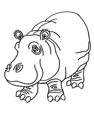 Su Aygırı boyama sayfası,  coloring page, Ücretsiz Su Aygırı Resim, 