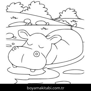 Su Aygırı boyama sayfası – yaratıcılık, eğlenceli etkinlik