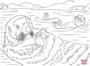 Su Samuru boyama sayfası, Otters coloring page, , otters cute sea otters 