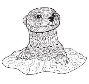 Su Samuru boyama sayfası, Otters coloring page, Yetişkinler için Su Samuru, 