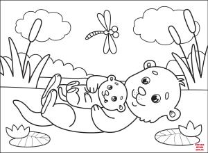 Su Samuru boyama sayfası, Otters coloring page, , otters otter 