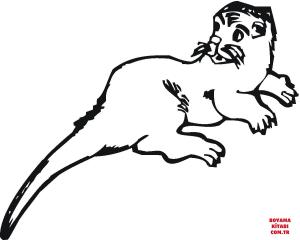 Su Samuru boyama sayfası, Otters coloring page, , otters otter 