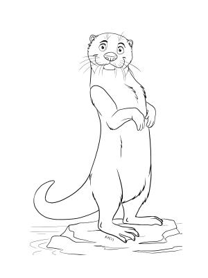 Su Samuru boyama sayfası, Otters coloring page, Karikatür Su Samuru, 