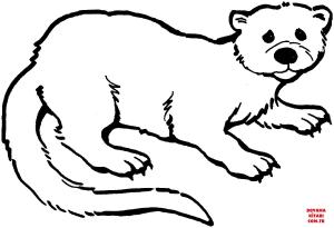 Su Samuru boyama sayfası, Otters coloring page, , otters otter 