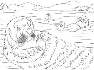 Su Samuru boyama sayfası, Otters coloring page, Su Samuru 20, 