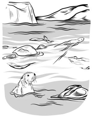 Su Samuru boyama sayfası, Otters coloring page, , otters sea otter pup starts living on his own 