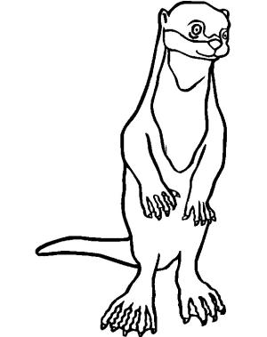 Su Samuru boyama sayfası, Otters coloring page, Ayakta duran su samuru, 