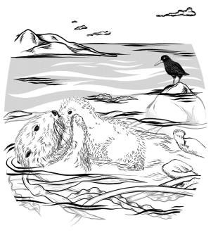 Su Samuru boyama sayfası, Otters coloring page, , otters sea otter with pup 