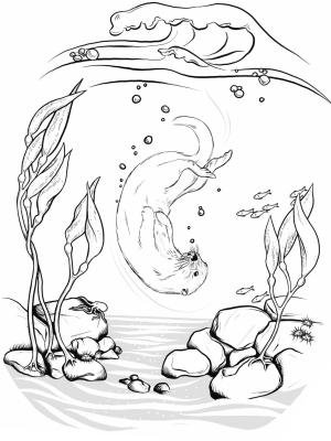 Su Samuru boyama sayfası, Otters coloring page, , otters sea otter diving underwater 